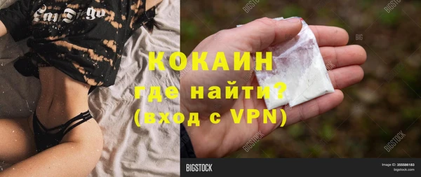 СК Каменка