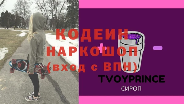 СК Каменка