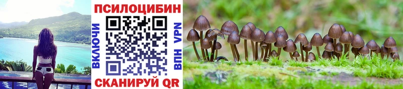 Купить где  Нерчинск  Псилоцибиновые грибы MAGIC MUSHROOMS 